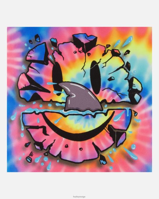 tilbehør barn Hurley en eneste grafisk ryggsekk svart (slipsfarge) R406L615