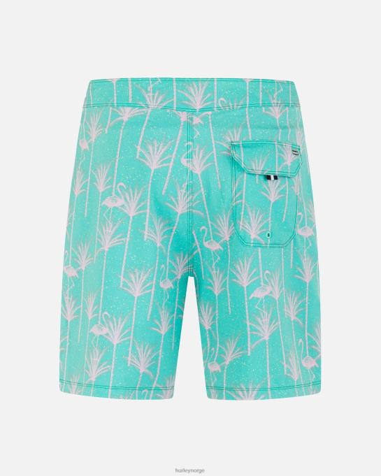 klær menn Hurley Phantom-eco classic 18" boardshorts fiji R406L5