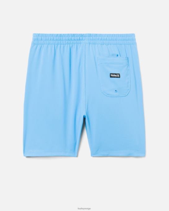 klær menn Hurley en eneste solid volleyboardshort 17" enhet blå R406L193