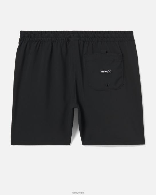 klær menn Hurley en eneste solid volleyboardshort 17" svart R406L197