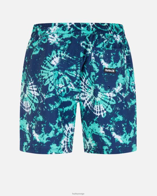 klær menn Hurley kanonball volley 17" boardshort avgrunn R406L163