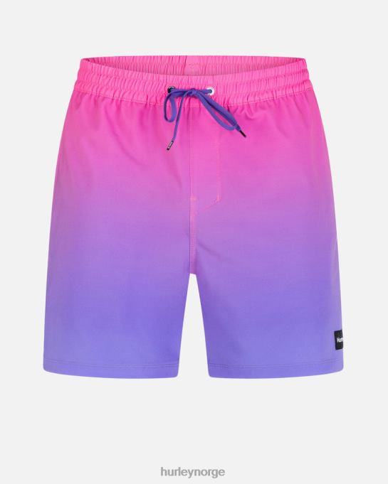 klær menn Hurley kanonball volley 17" boardshort plomme dis R406L179