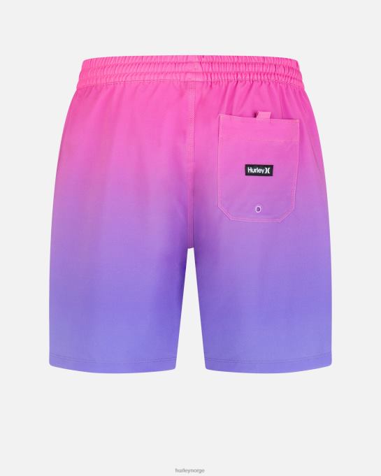 klær menn Hurley kanonball volley 17" boardshort plomme dis R406L179