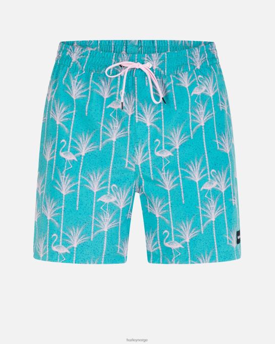 klær menn Hurley kanonball volley 17" boardshort seadoo R406L160