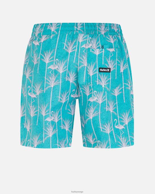 klær menn Hurley kanonball volley 17" boardshort seadoo R406L160