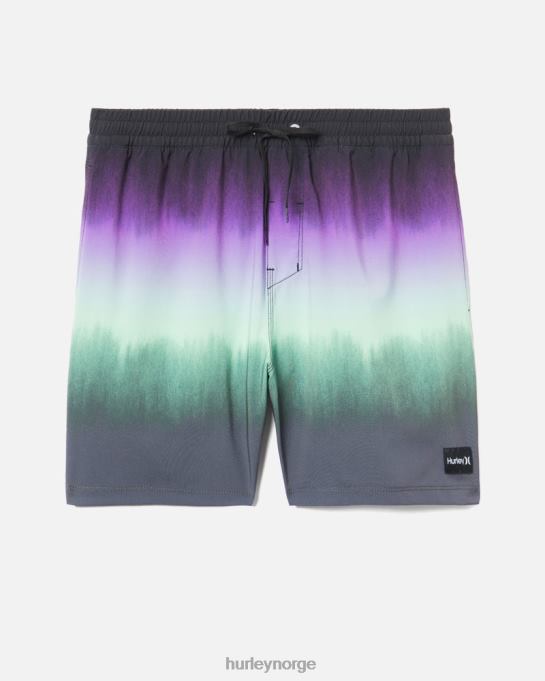 klær menn Hurley kanonball volleyboardshorts 17" svart R406L77