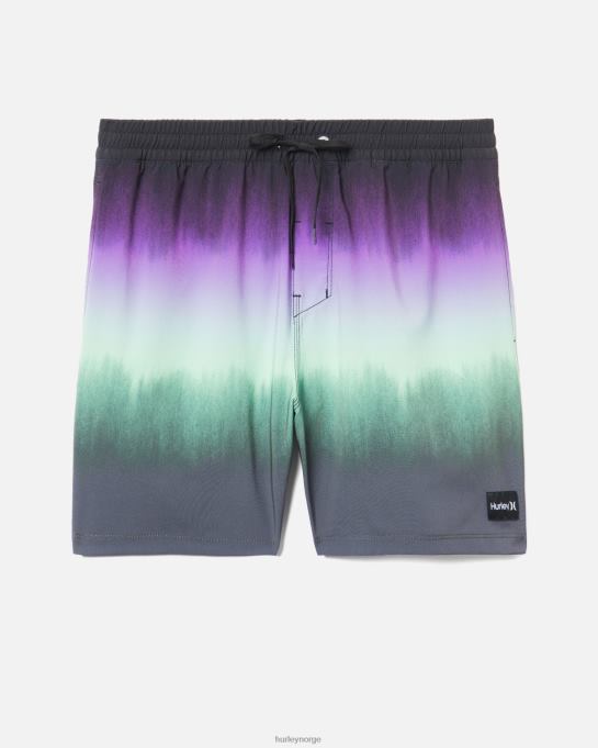 klær menn Hurley kanonball volleyboardshorts 17" svart R406L77