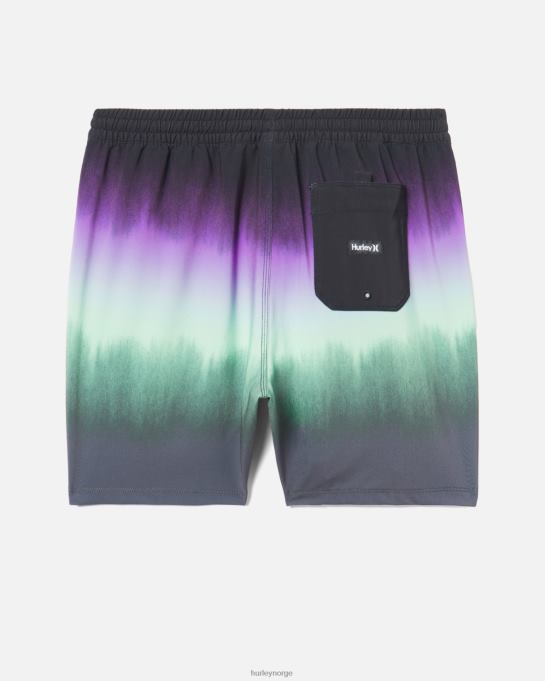 klær menn Hurley kanonball volleyboardshorts 17" svart R406L77