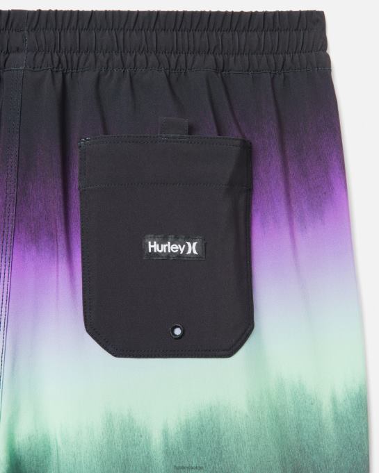 klær menn Hurley kanonball volleyboardshorts 17" svart R406L77