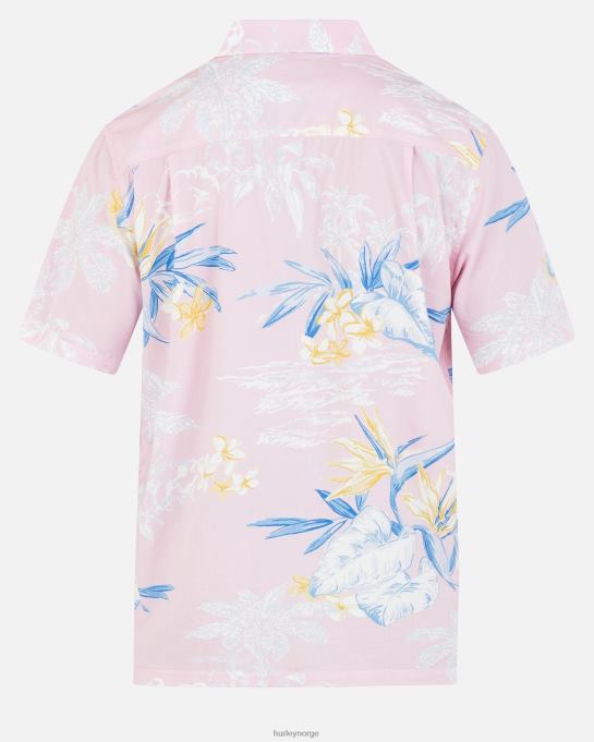 klær menn Hurley rincon kortermet t-skjorte flamingo R406L336