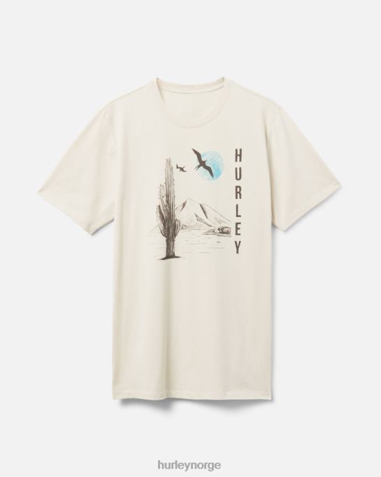 klær menn Hurley daglig utforske lunsjtid dreamin t-skjorte bein R406L312