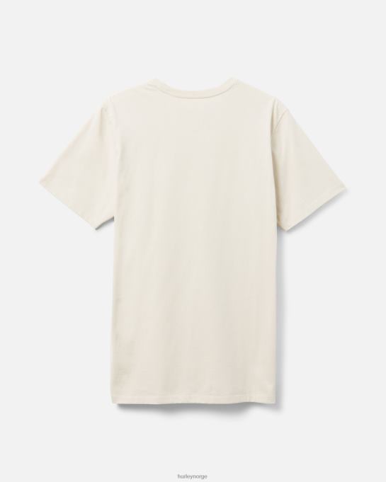 klær menn Hurley daglig utforske lunsjtid dreamin t-skjorte bein R406L312