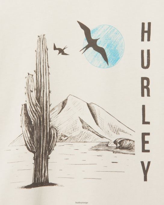 klær menn Hurley daglig utforske lunsjtid dreamin t-skjorte bein R406L312