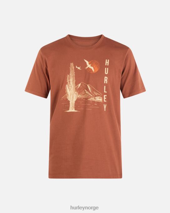 klær menn Hurley daglig utforske lunsjtid dreamin t-skjorte zion rust R406L358
