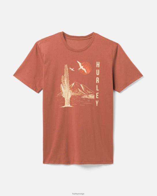 klær menn Hurley daglig utforske lunsjtid dreamin t-skjorte zion rust R406L358