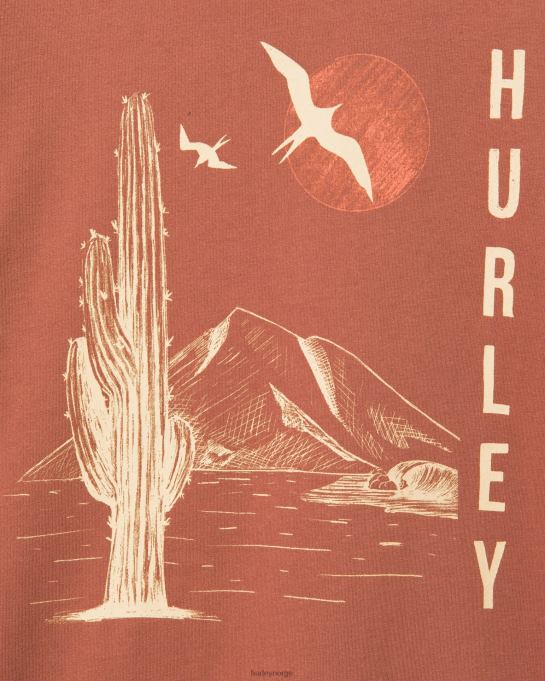 klær menn Hurley daglig utforske lunsjtid dreamin t-skjorte zion rust R406L358