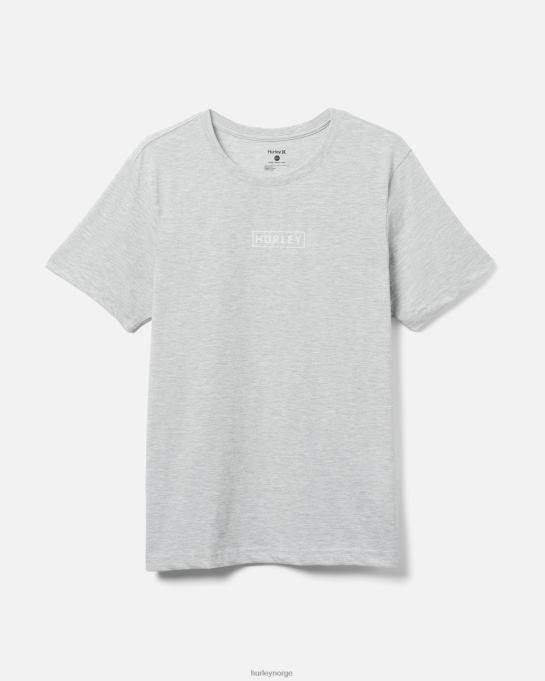 klær menn Hurley finnes grafisk t-skjorte i bomullsjersey med logo med logo grå/grå R406L36
