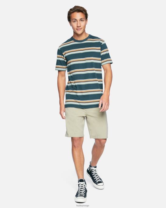 klær menn Hurley h2o-dri harvey stripe t-skjorte tang R406L408