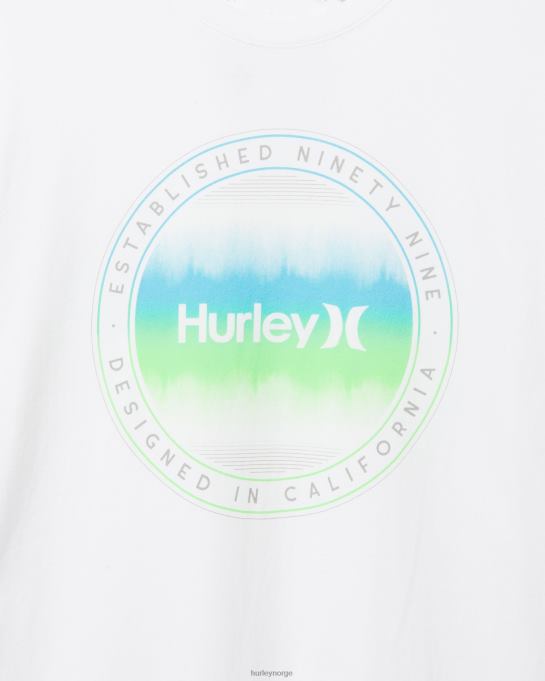 klær menn Hurley hverdags bølgelengde t-skjorte hvit R406L347
