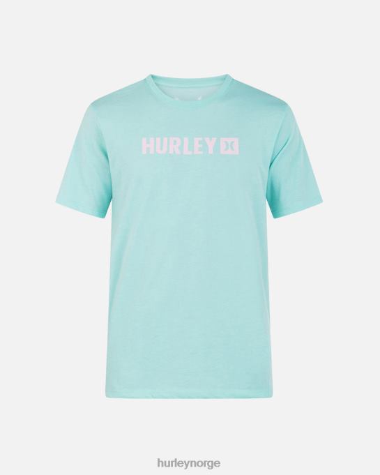 klær menn Hurley hverdags boksen kortermet tee tropisk tåke R406L22