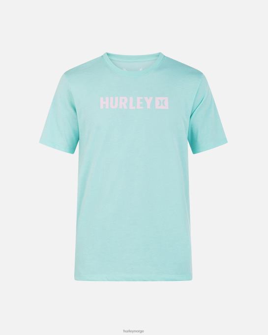 klær menn Hurley hverdags boksen kortermet tee tropisk tåke R406L22