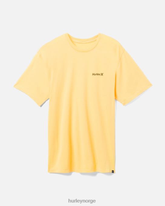 klær menn Hurley hverdags en og bare fm t-skjorte btr saus R406L308