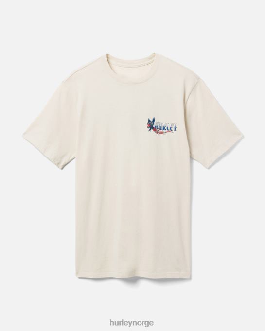 klær menn Hurley hverdags pirat papegøye t-skjorte bein R406L293