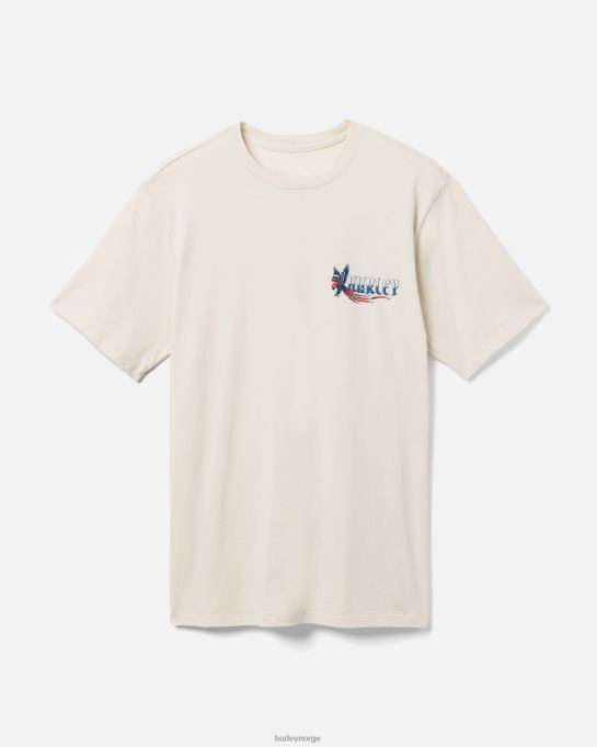 klær menn Hurley hverdags pirat papegøye t-skjorte bein R406L293