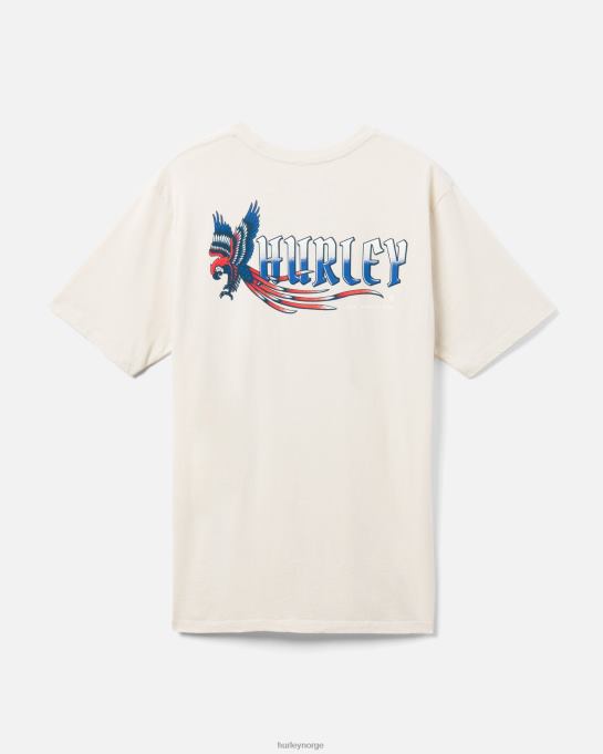 klær menn Hurley hverdags pirat papegøye t-skjorte bein R406L293
