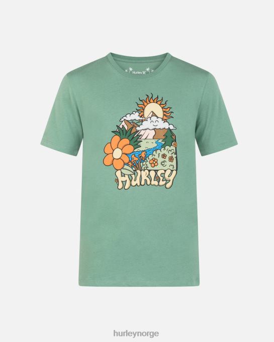 klær menn Hurley hverdags utforske solen skinner kortermet tee koriander R406L20