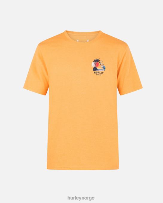klær menn Hurley hverdags øyfest kortermet t-skjorte nektarin R406L63