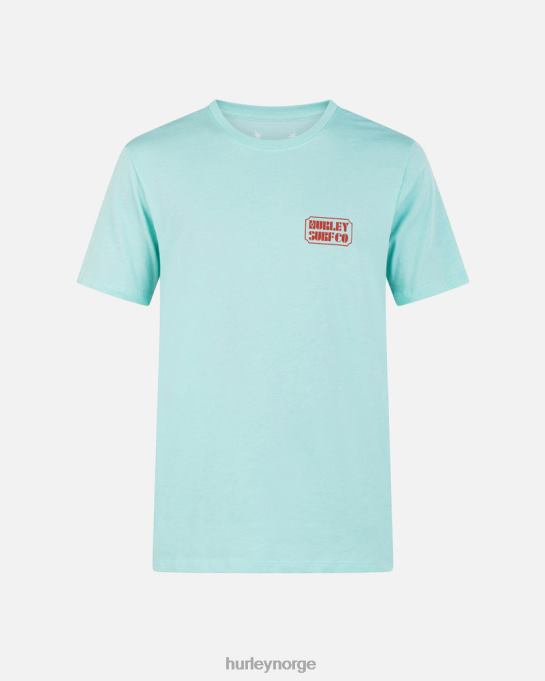 klær menn Hurley hverdagsplakat kortermet t-skjorte tropisk tåke R406L27