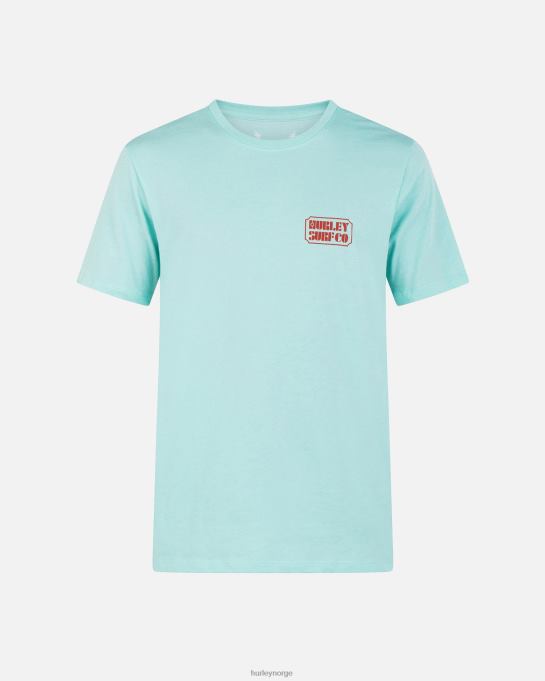 klær menn Hurley hverdagsplakat kortermet t-skjorte tropisk tåke R406L27