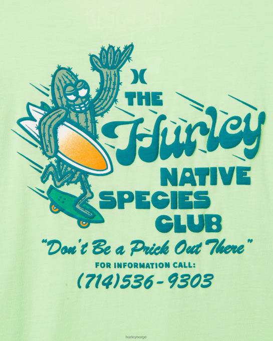 klær menn Hurley hverdagsvasket shatki kortermet t-skjorte lysegrønn R406L409