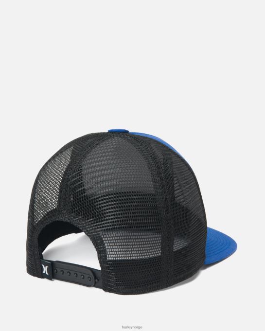 tilbehør menn Hurley forsyning trucker blå R406L420